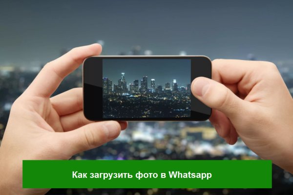 Кракен мп