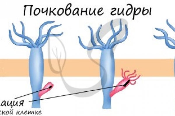 Кракен даркнет krawebes